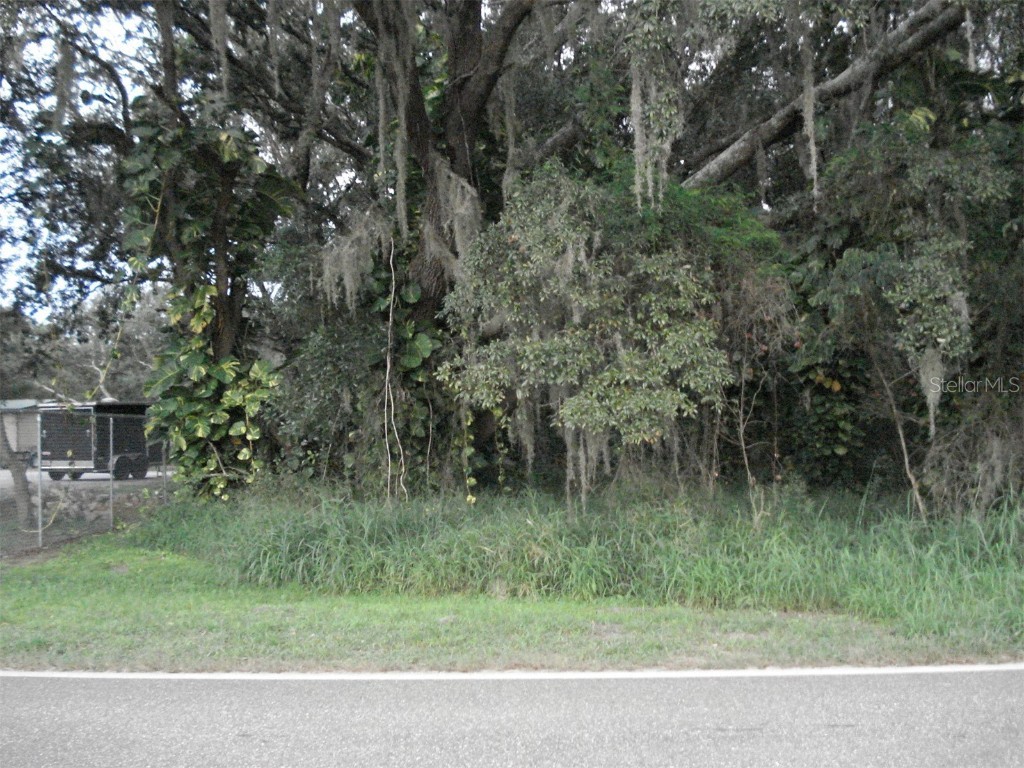 Avon Park Cutoff East Road Frostproof FL 33843 L4925544 image5