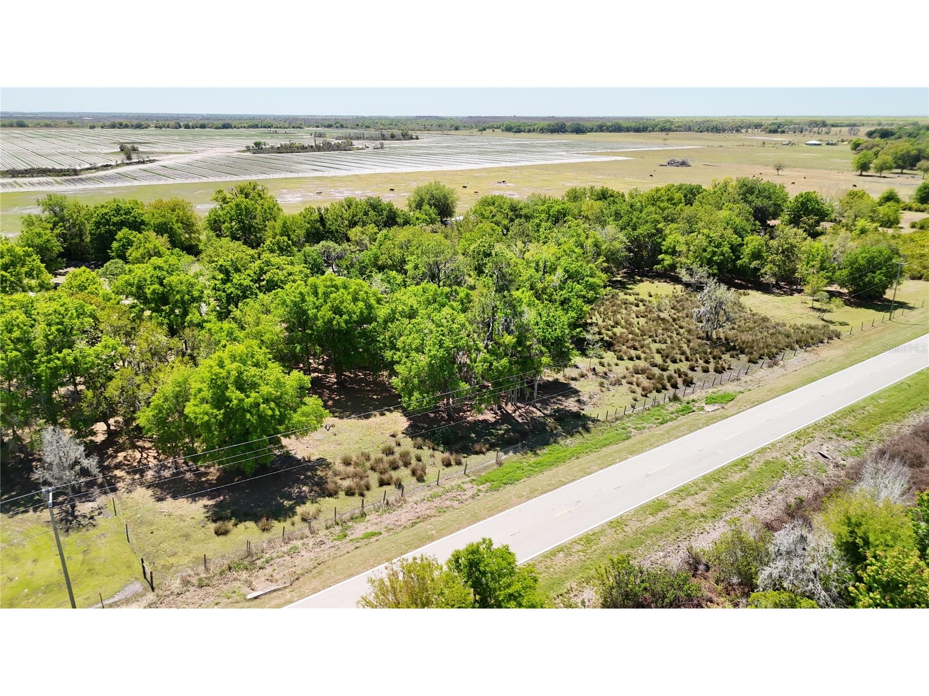 Avon Park Cutoff Road Fort Meade FL 33841 B4902218 image15