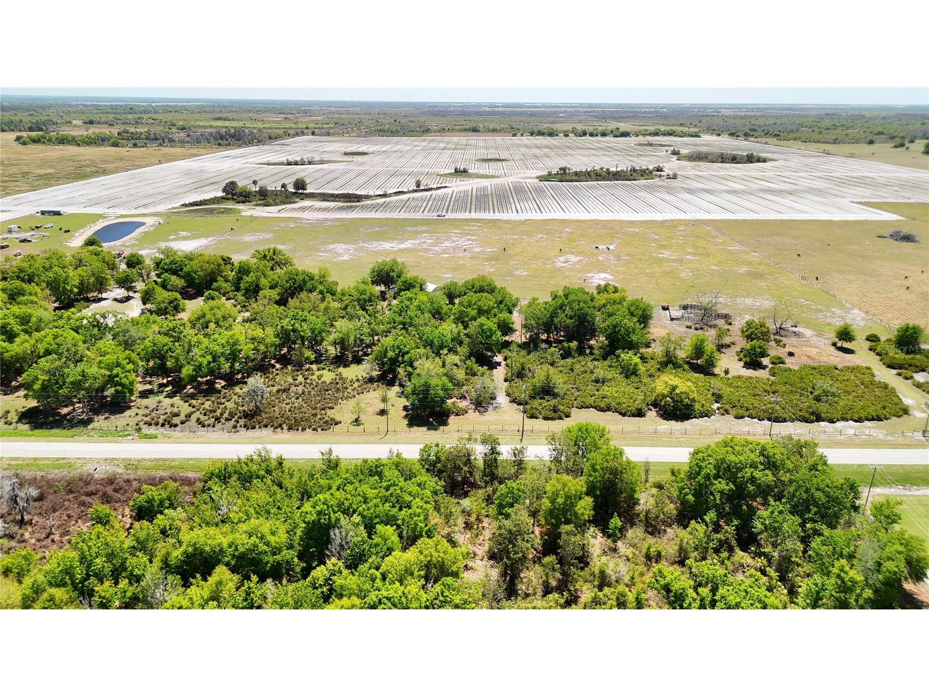Avon Park Cutoff Road Fort Meade FL 33841 B4902218 image16