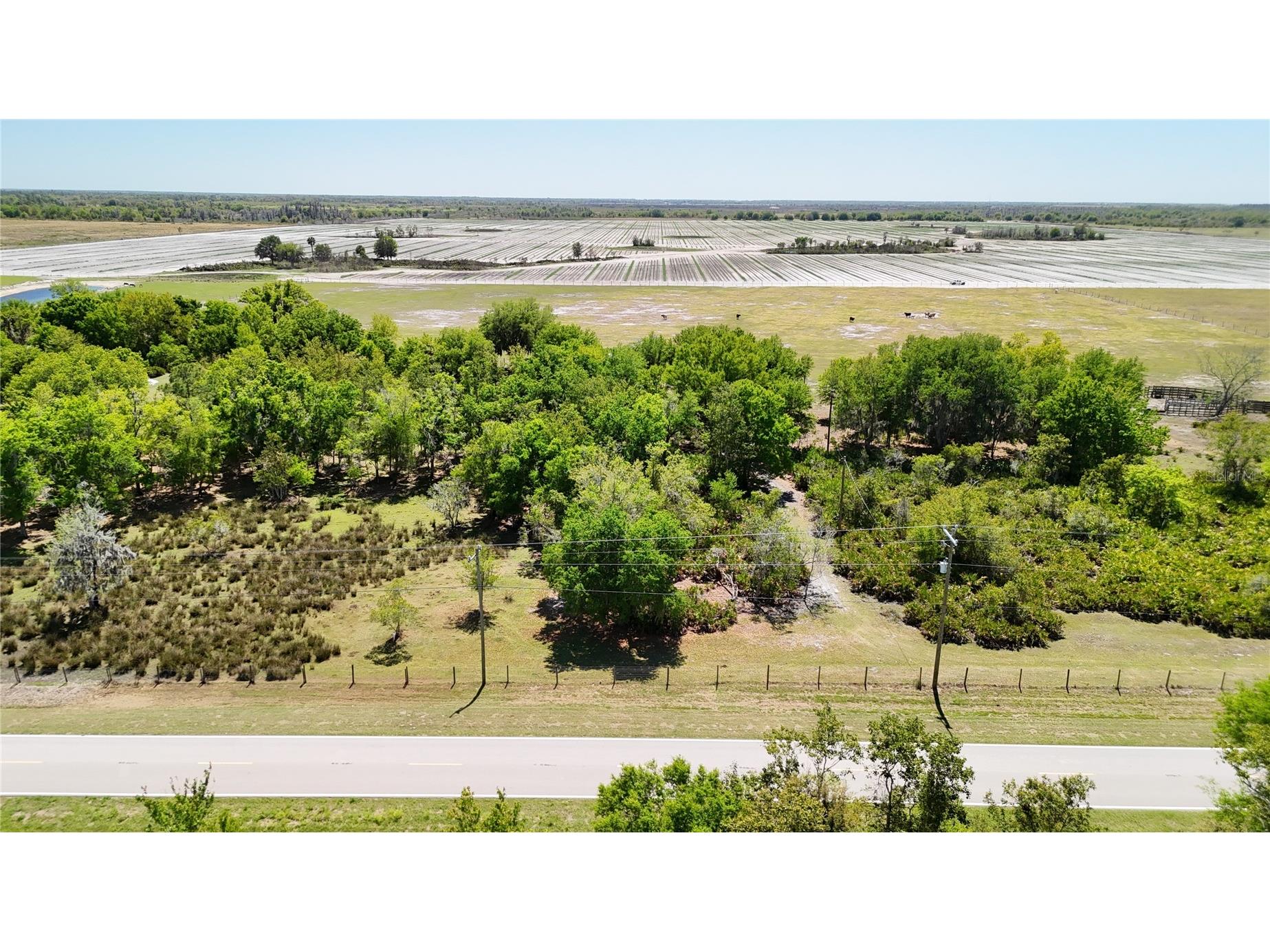 Avon Park Cutoff Road Fort Meade FL 33841 B4902218 image17