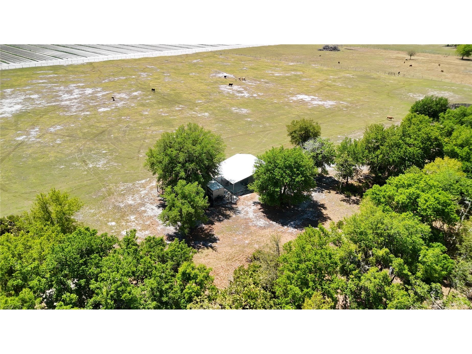 Avon Park Cutoff Road Fort Meade FL 33841 B4902218 image18