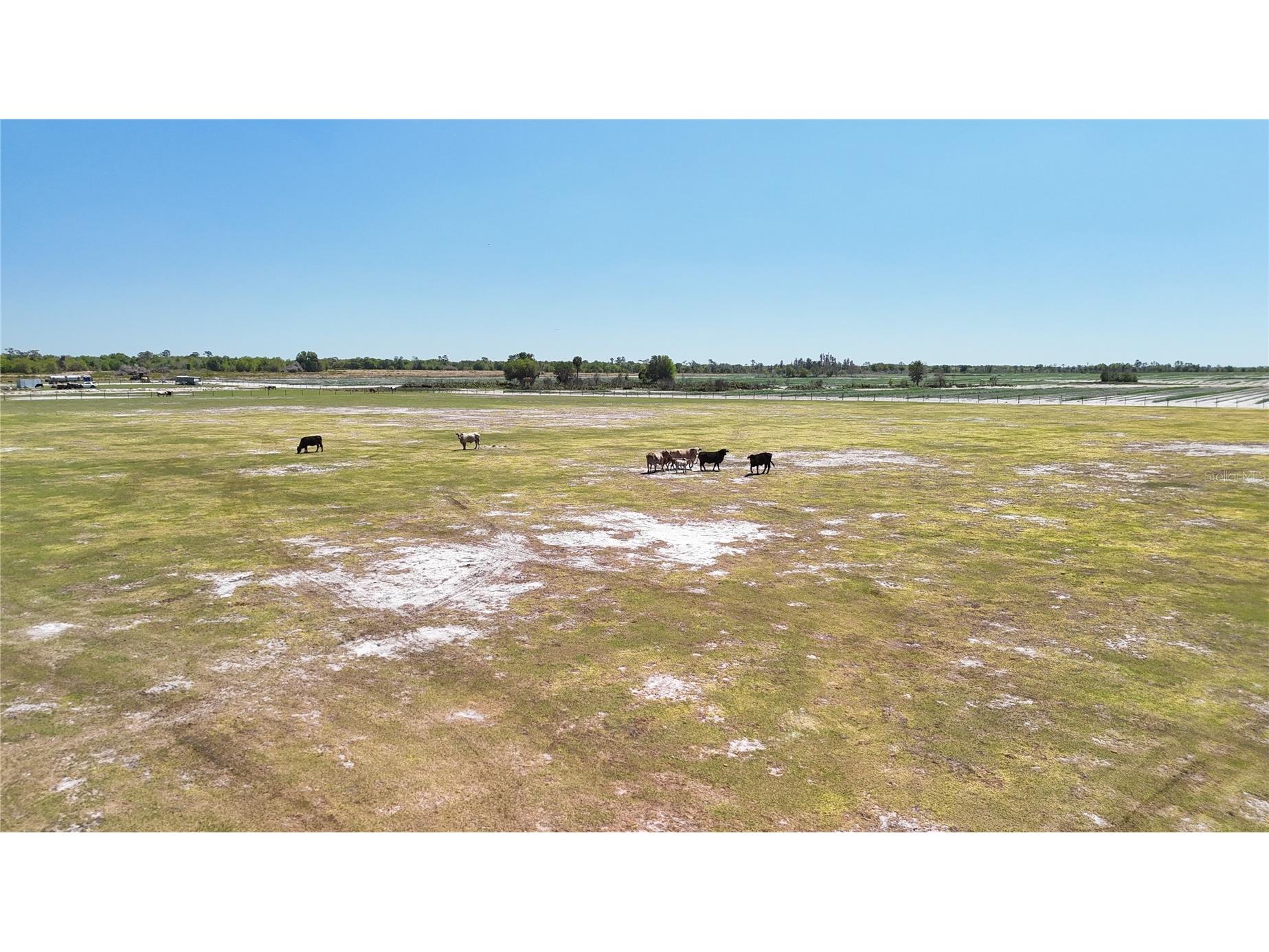 Avon Park Cutoff Road Fort Meade FL 33841 B4902218 image21