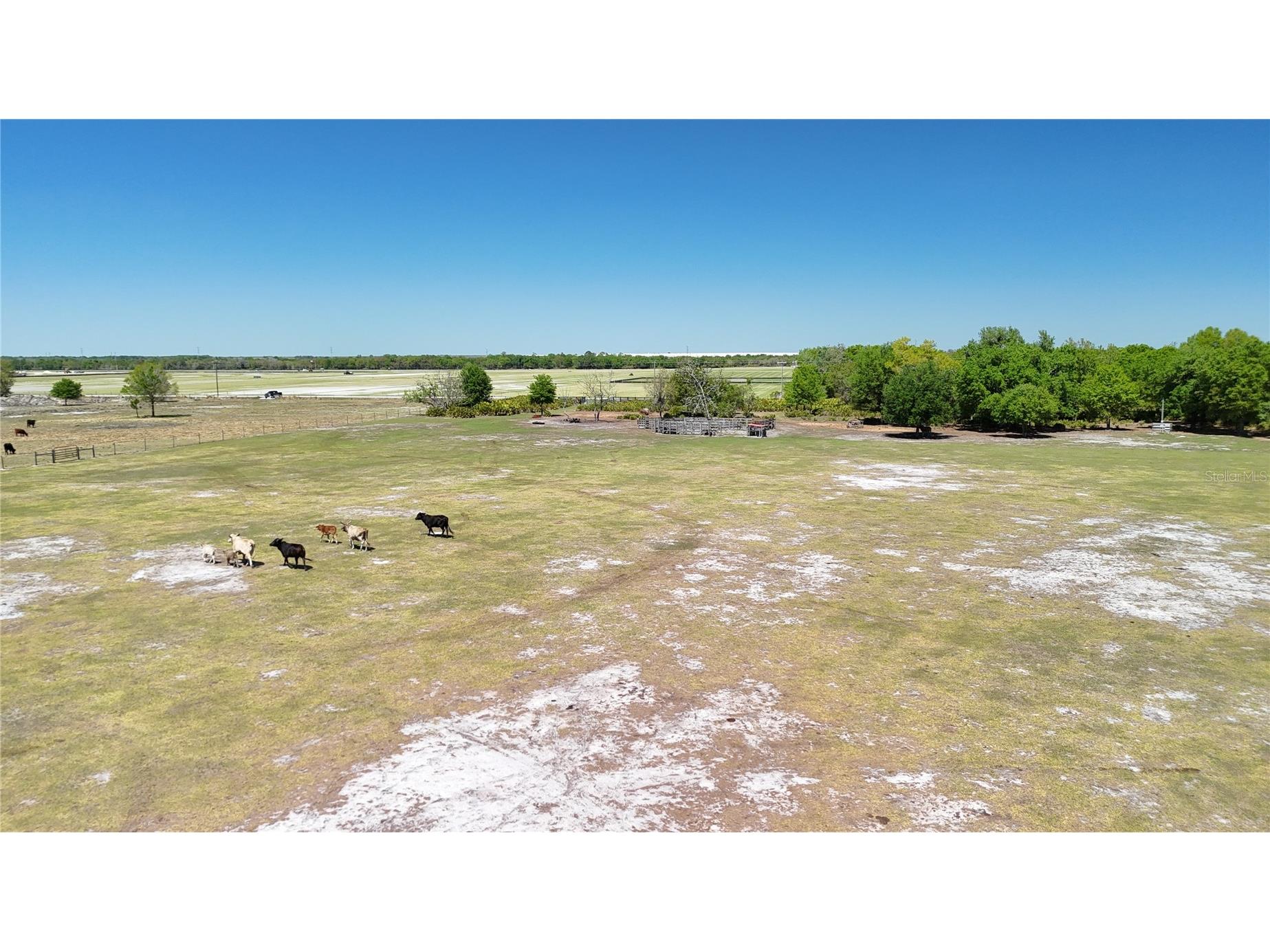 Avon Park Cutoff Road Fort Meade FL 33841 B4902218 image22