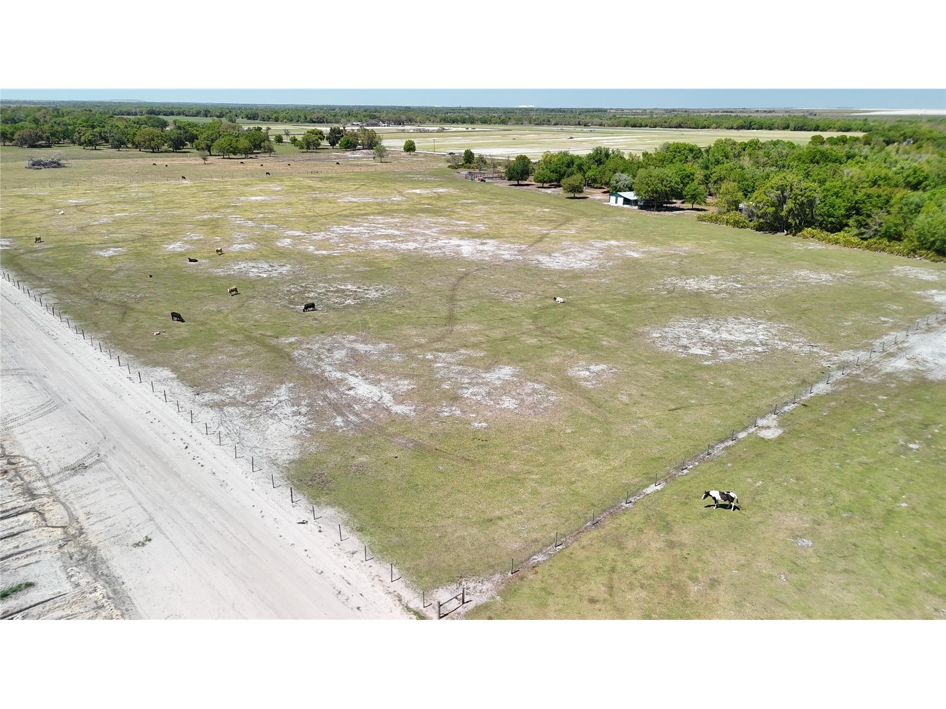 Avon Park Cutoff Road Fort Meade FL 33841 B4902218 image5