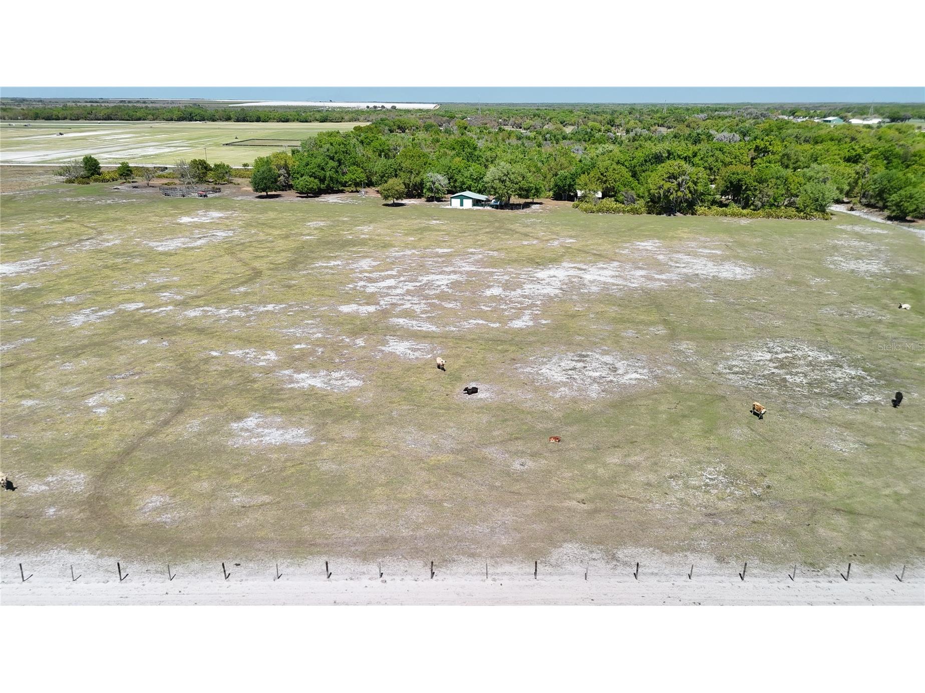Avon Park Cutoff Road Fort Meade FL 33841 B4902218 image6
