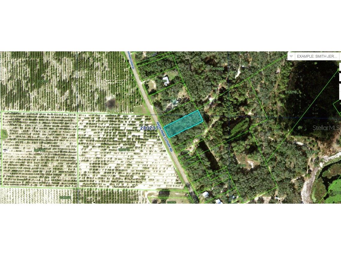 Avon Park Cutoff Road Frostproof FL 33843 O6281299 image1