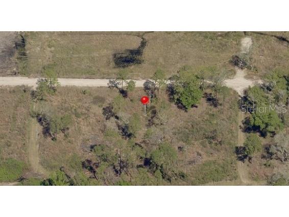 Avonwood Street Tampa FL 33625 J941565 image1