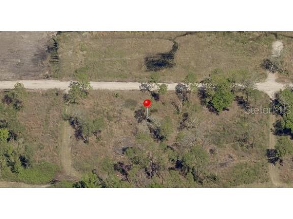 Avonwood Street Tampa FL 33625 J941566 image1