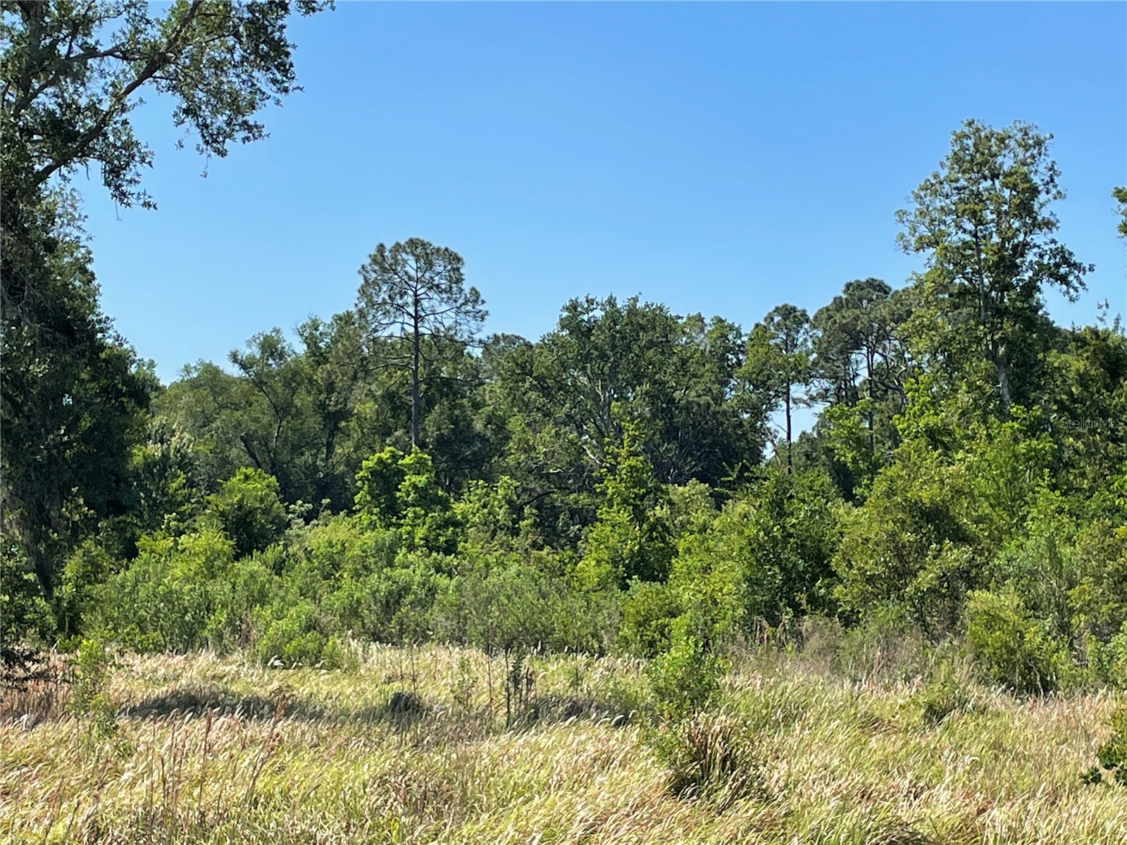 Avonwood Tampa FL 33625 S5148228 image3