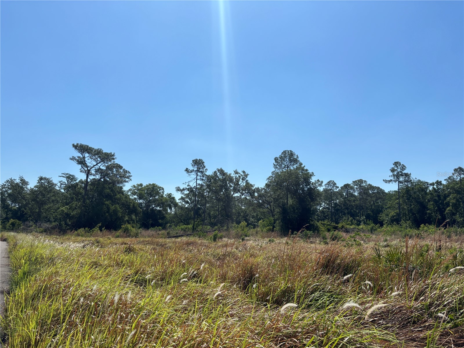 Avonwood Tampa FL 33625 S5148228 image8