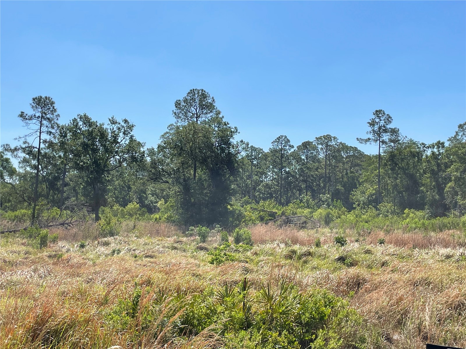 Avonwood Tampa FL 33625 S5148247 image1