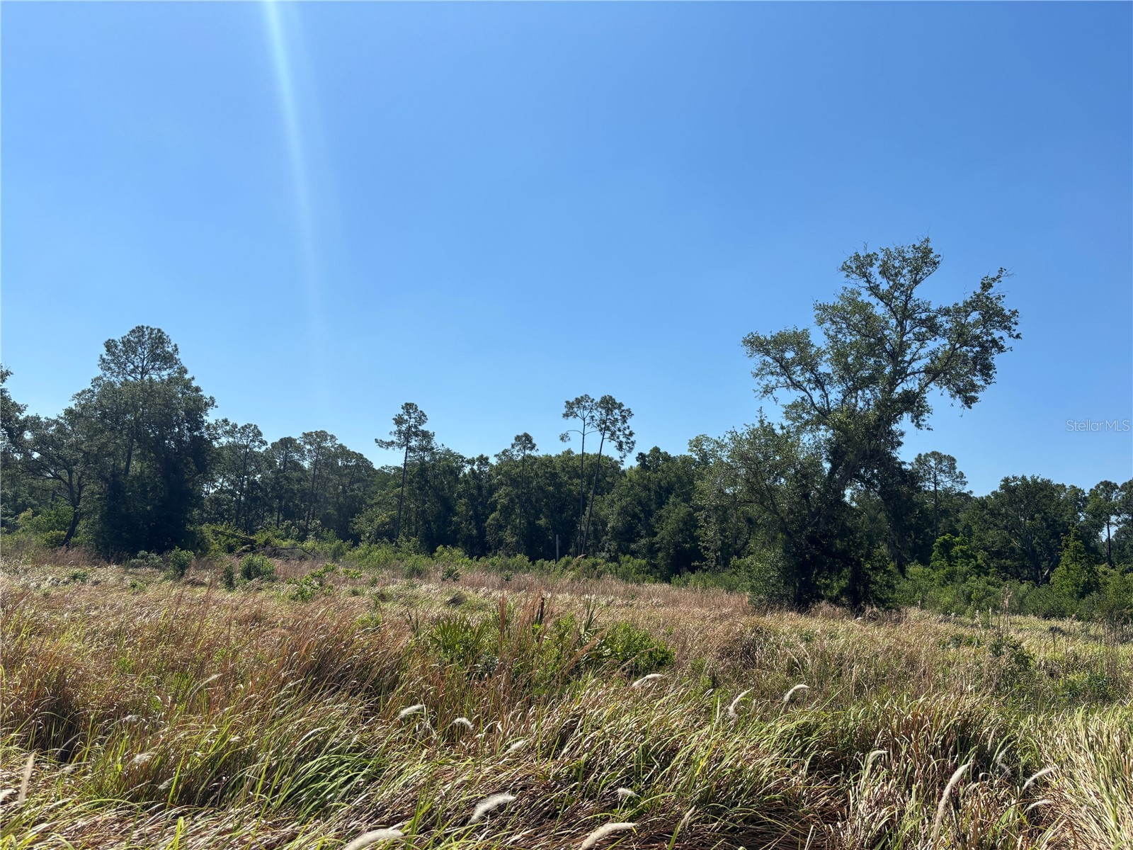 Avonwood Tampa FL 33625 S5148247 image6
