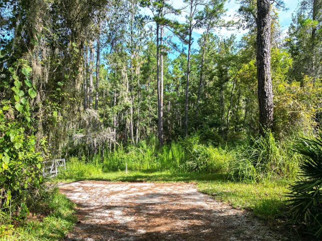 Aylesboro Court Brooksville FL 34602 TB8422400 image2