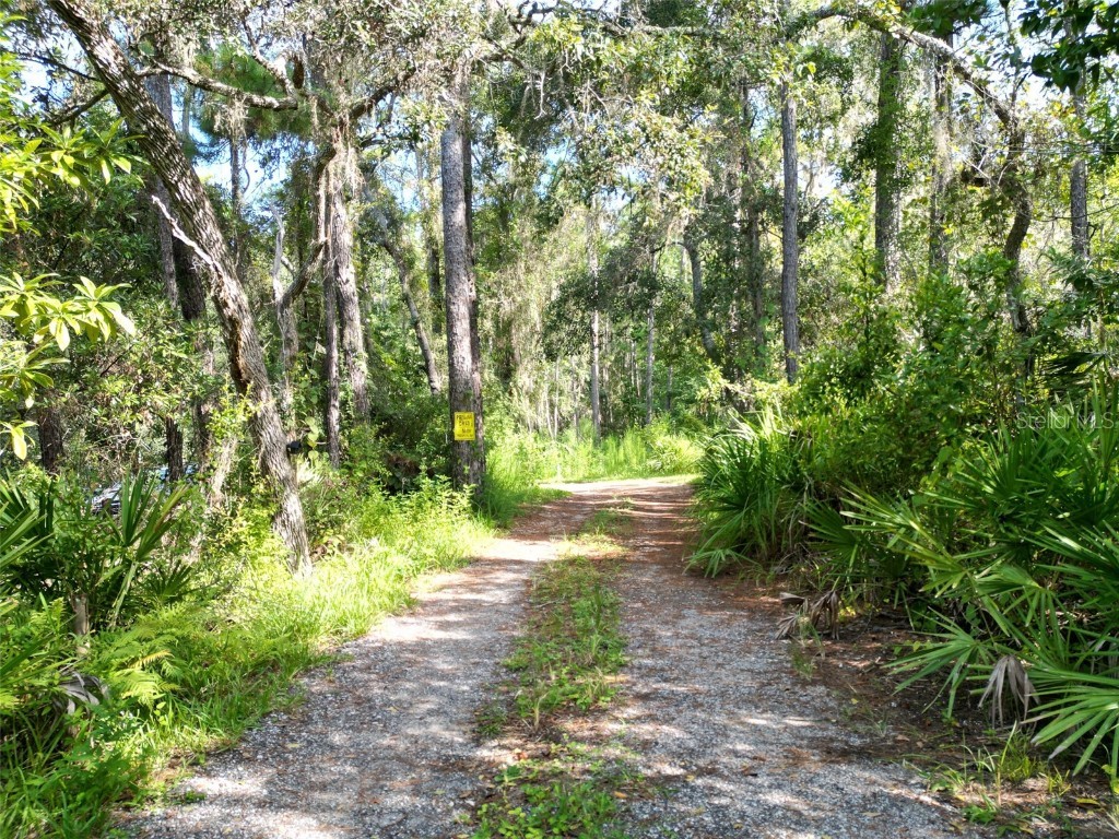 Aylesboro Court Brooksville FL 34602 TB8422400 image4