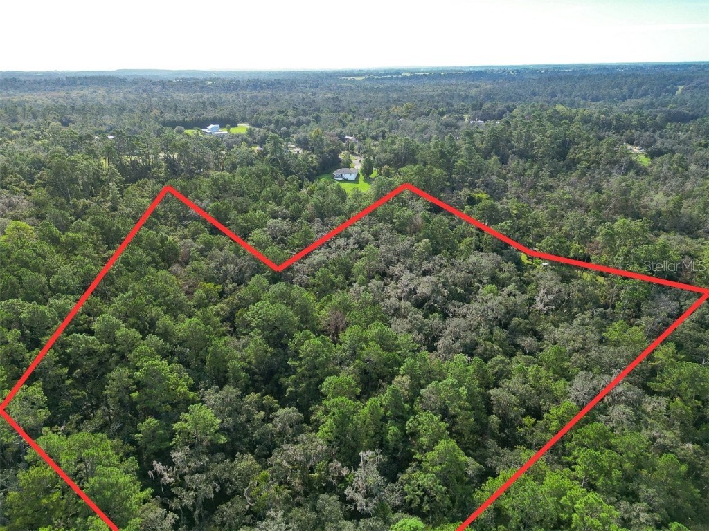 Aylesboro Court Brooksville FL 34602 TB8422400 image5