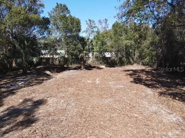Azalea Avenue Paisley FL 32767 G5107532 image6