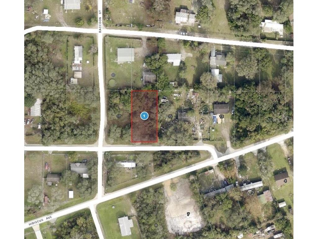 Azalea Avenue Paisley FL 32767 O6355049 image1