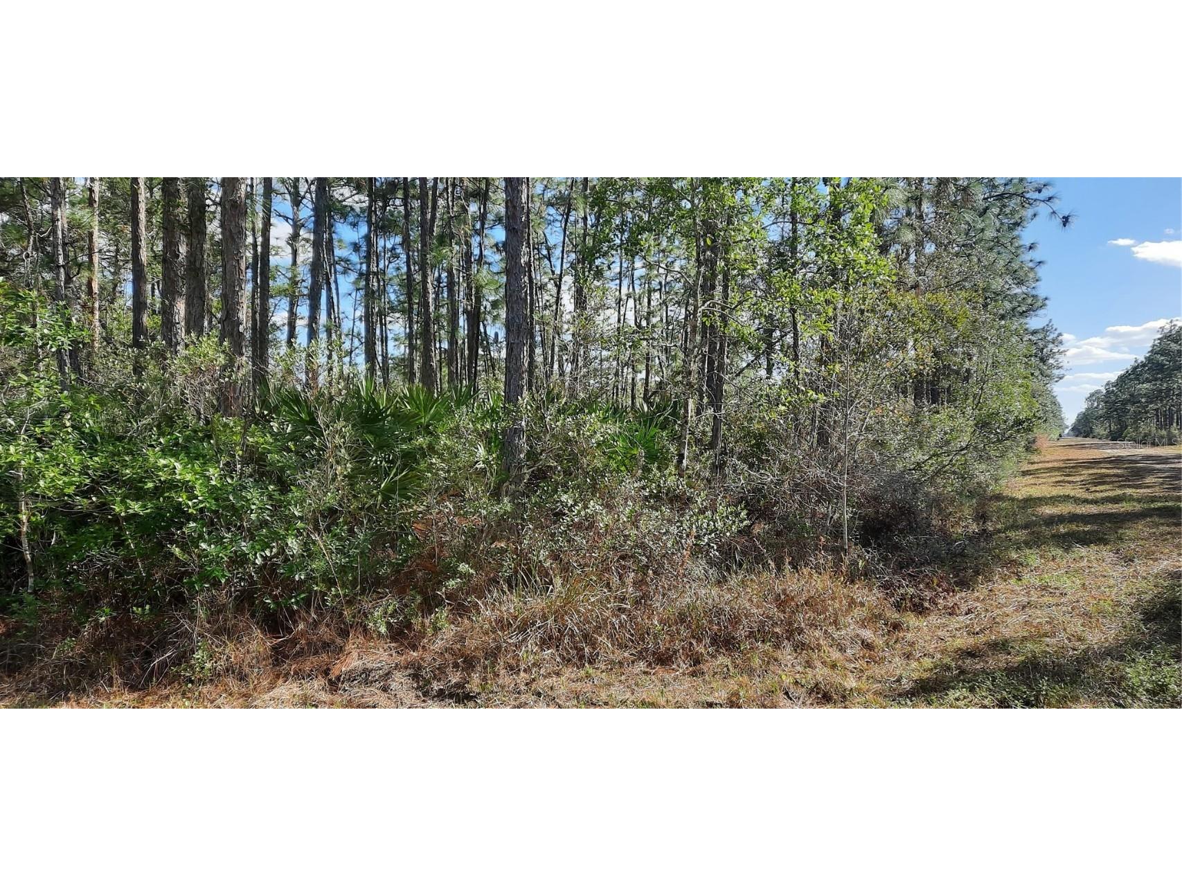 Azalea Drive Indian Lake Estates FL 33855 - LAKE WALK-IN-WATER TB8340993 image1