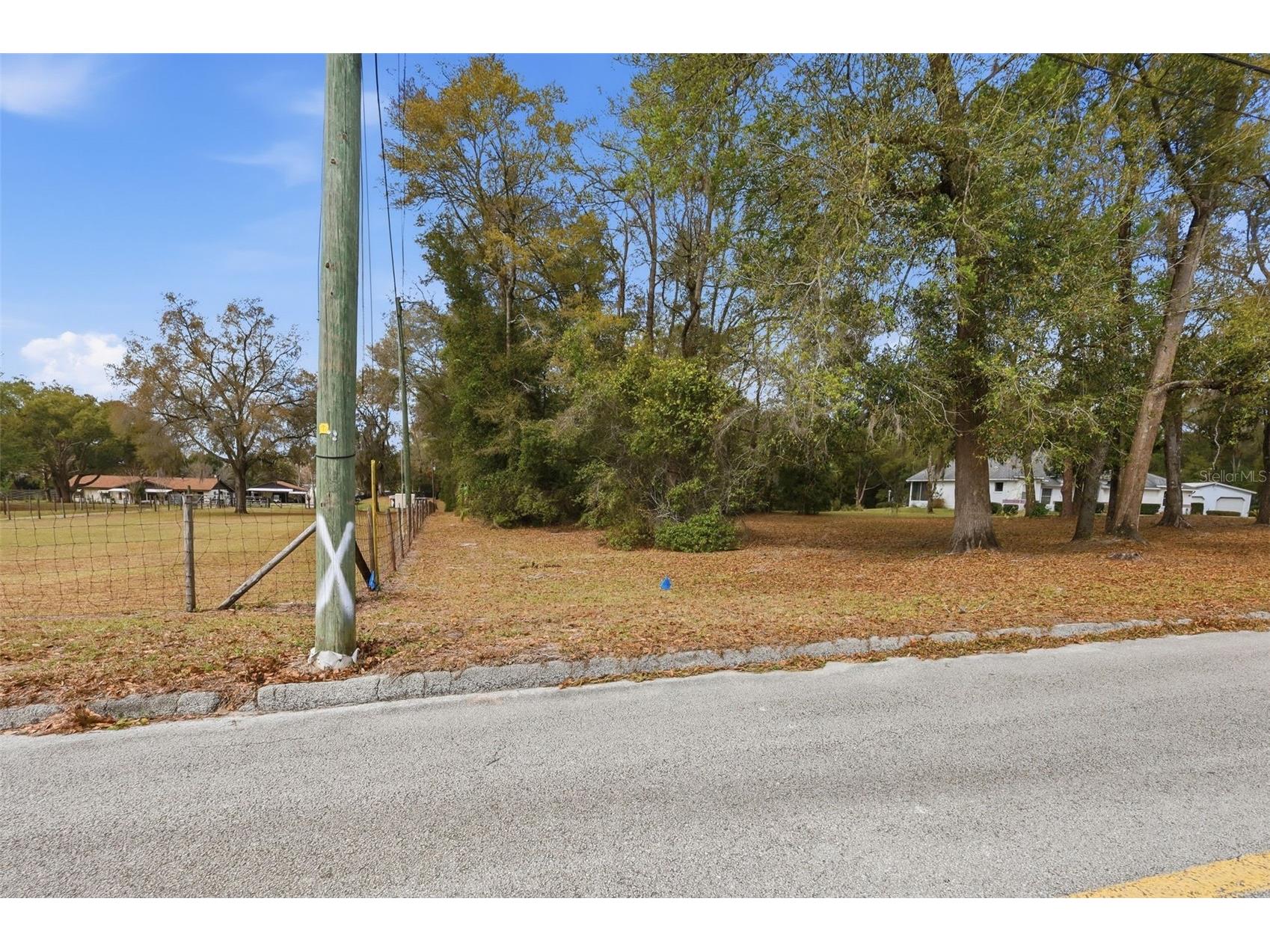 N Ridgewood Avenue Deland FL 32720 V4947661 image6