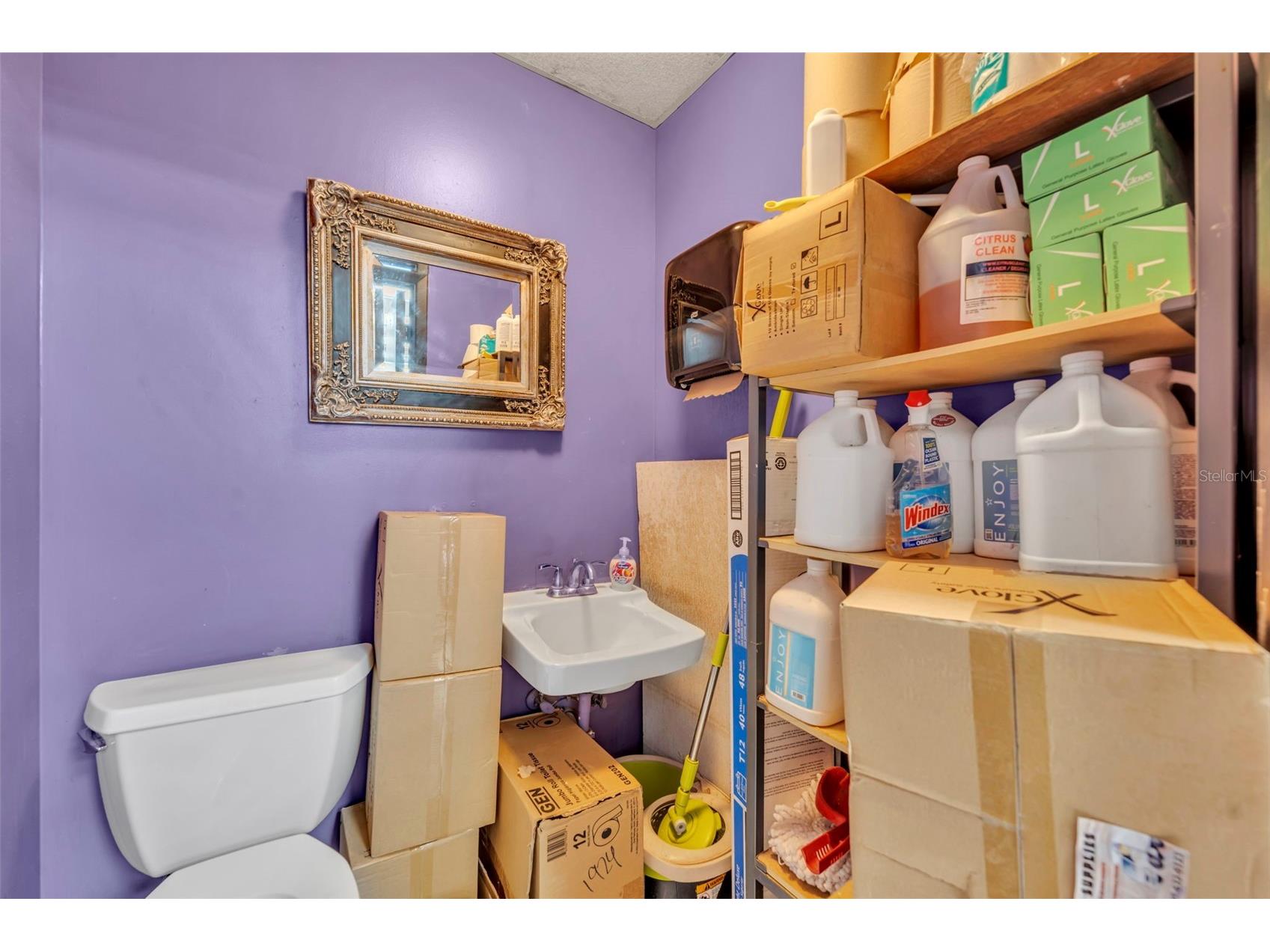  Altamonte Springs FL 32701 O6378165 image19
