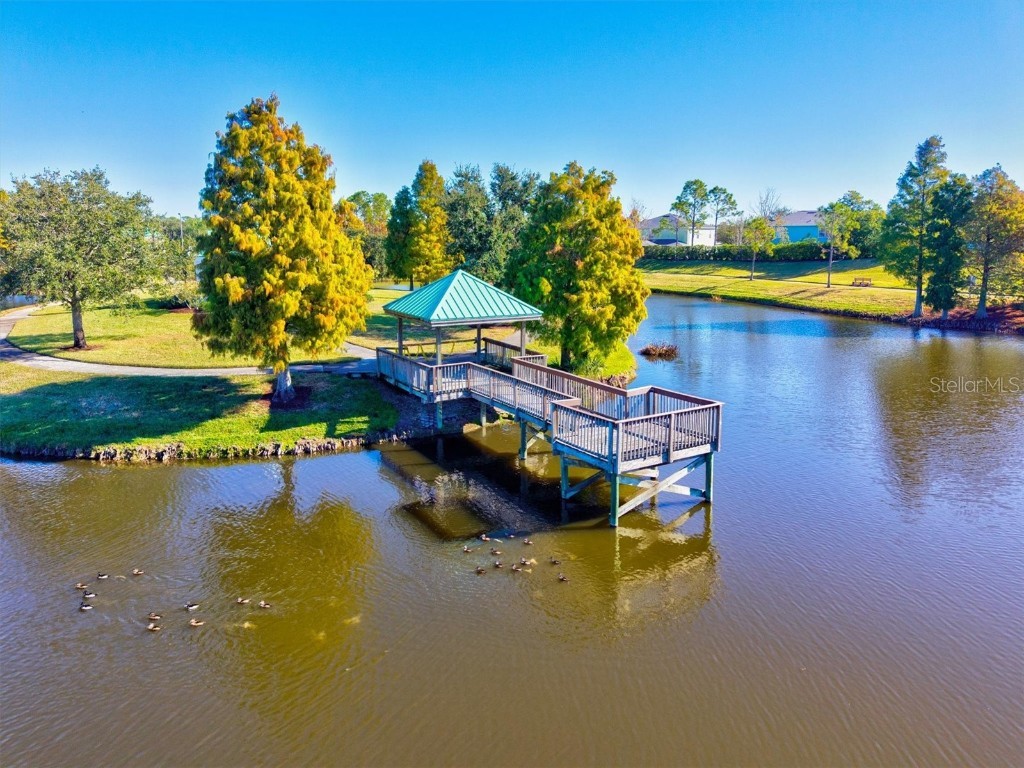 5213 Moon Shell Drive Apollo Beach FL 33572 A4676842 image56