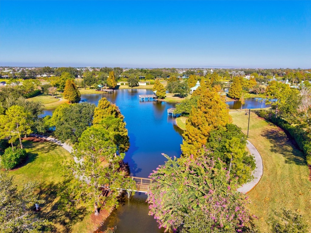 5213 Moon Shell Drive Apollo Beach FL 33572 A4676842 image58