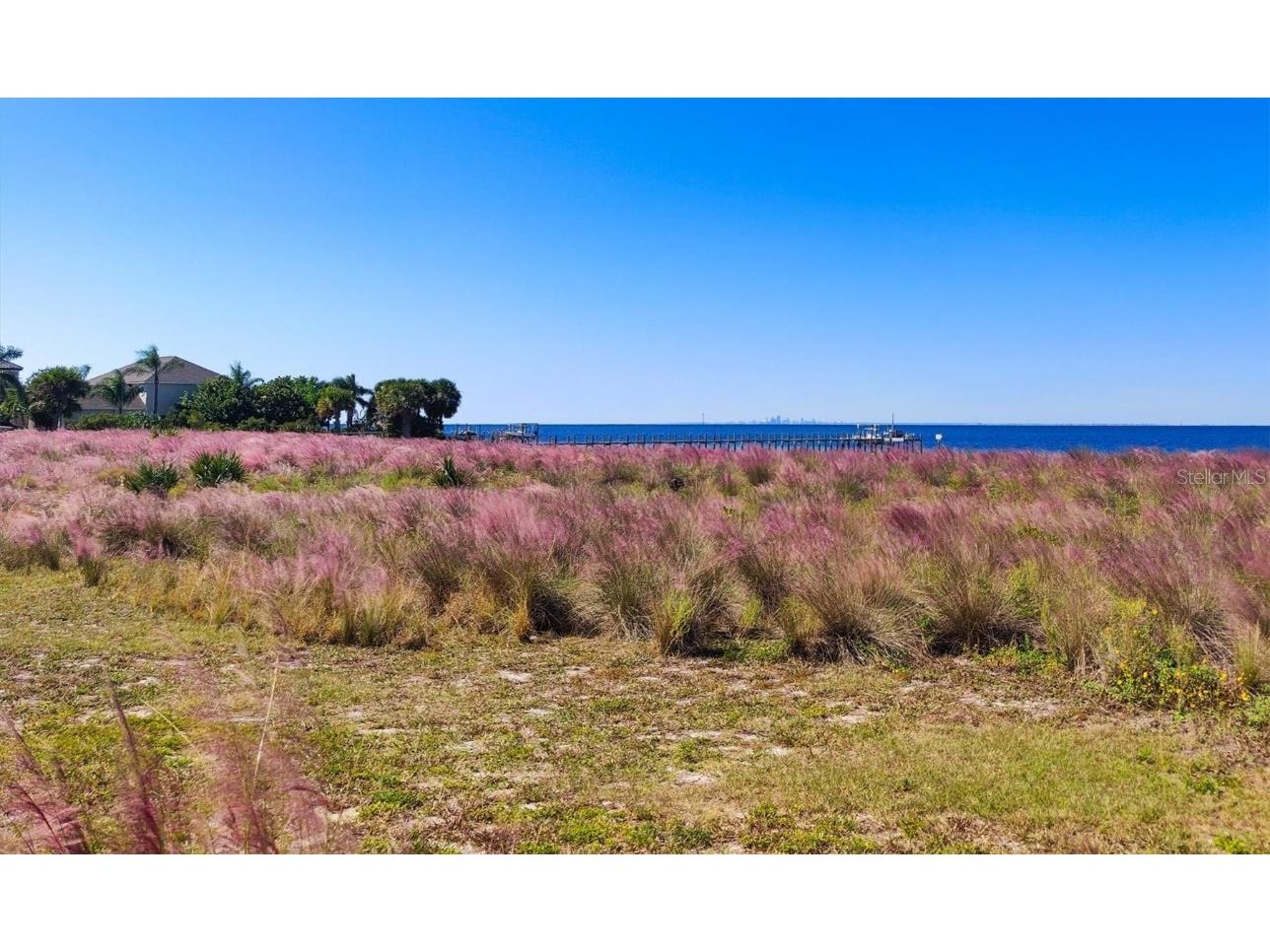 5213 Moon Shell Drive Apollo Beach FL 33572 A4676842 image59