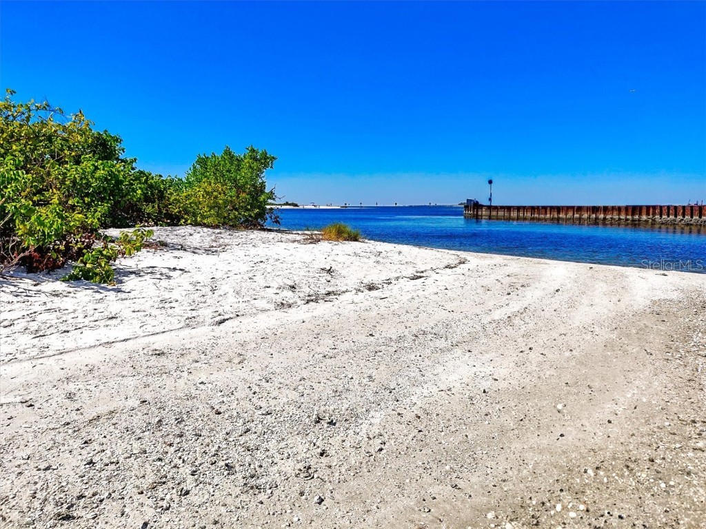 5213 Moon Shell Drive Apollo Beach FL 33572 A4676842 image61