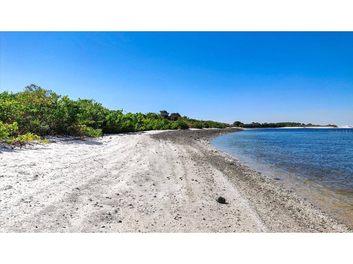 5213 Moon Shell Drive Apollo Beach FL 33572 A4676842 image63