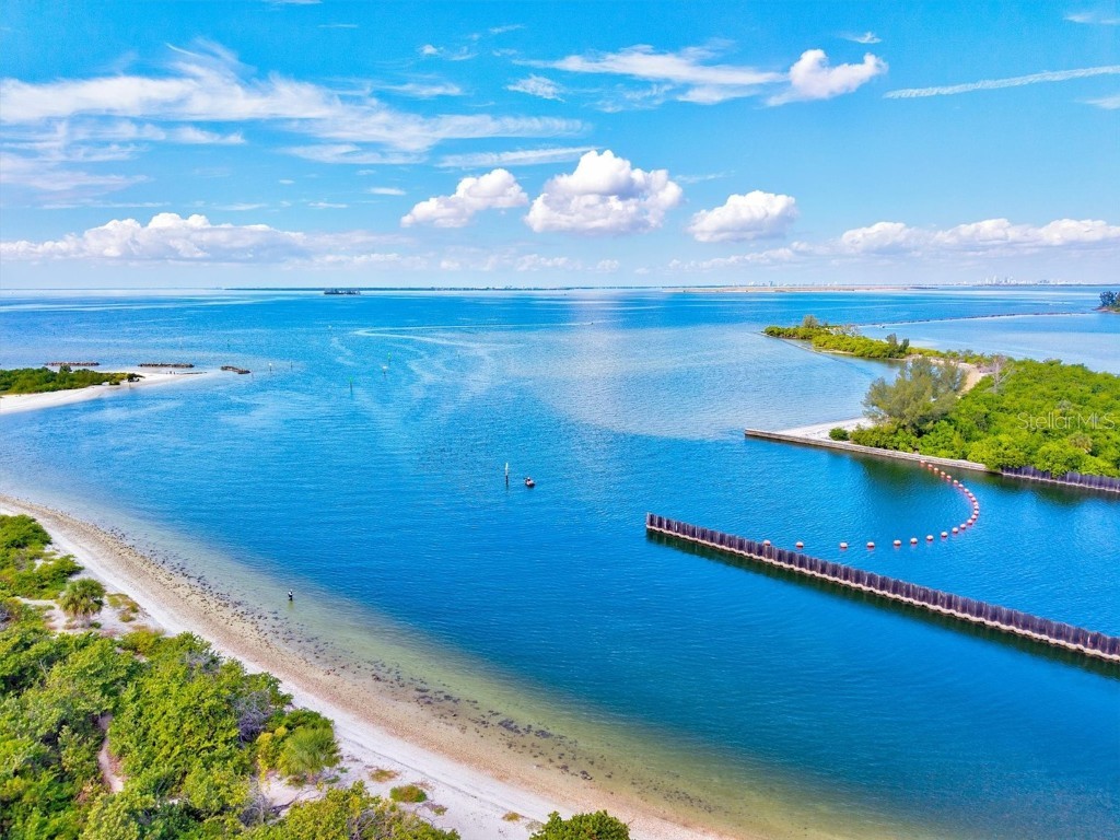 5213 Moon Shell Drive Apollo Beach FL 33572 A4676842 image67