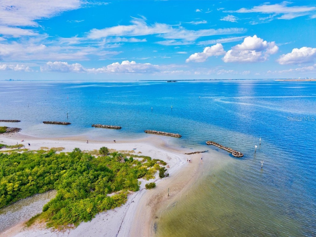 5213 Moon Shell Drive Apollo Beach FL 33572 A4676842 image68