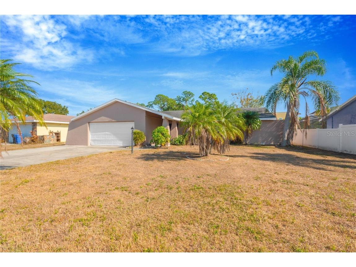 6507 Manila Palm Way Apollo Beach FL 33572 TB8455737 image3