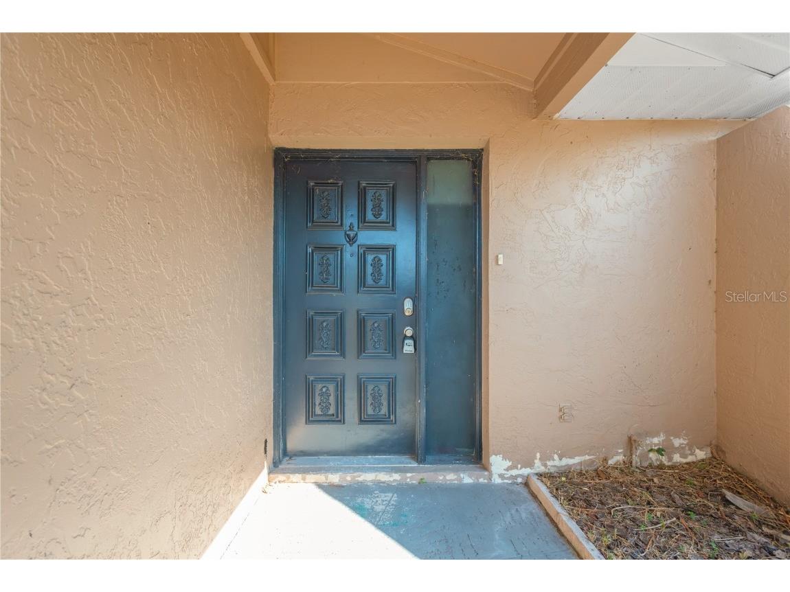 6507 Manila Palm Way Apollo Beach FL 33572 TB8455737 image5