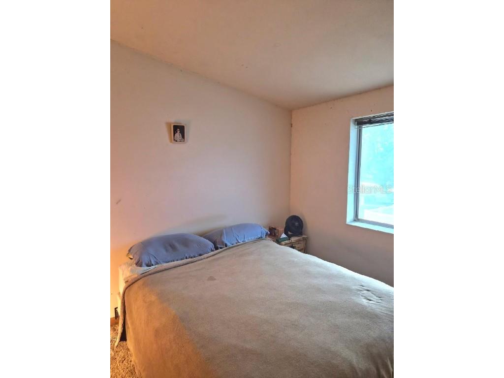 6306 Florida Circle E Apollo Beach FL 33572 TB8460836 image12