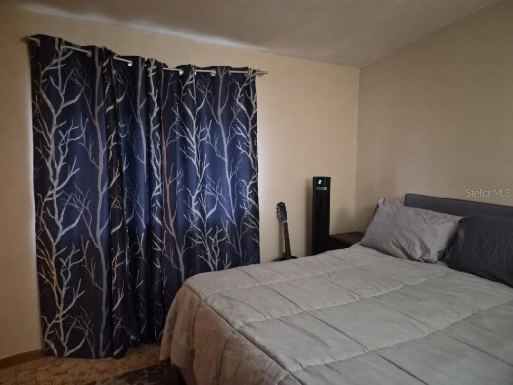 6306 Florida Circle E Apollo Beach FL 33572 TB8460836 image9