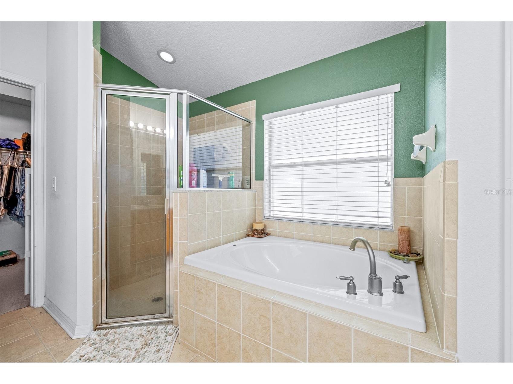 7113 Cromwell Park Lane Apollo Beach FL 33572 TB8493509 image16