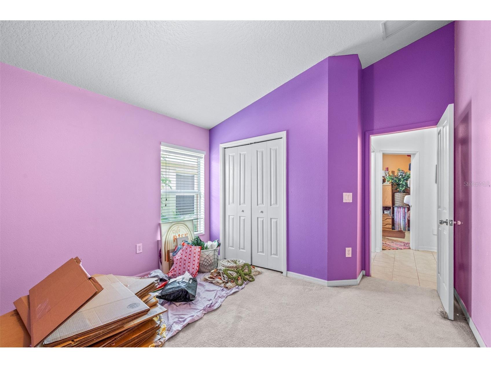 7113 Cromwell Park Lane Apollo Beach FL 33572 TB8493509 image20