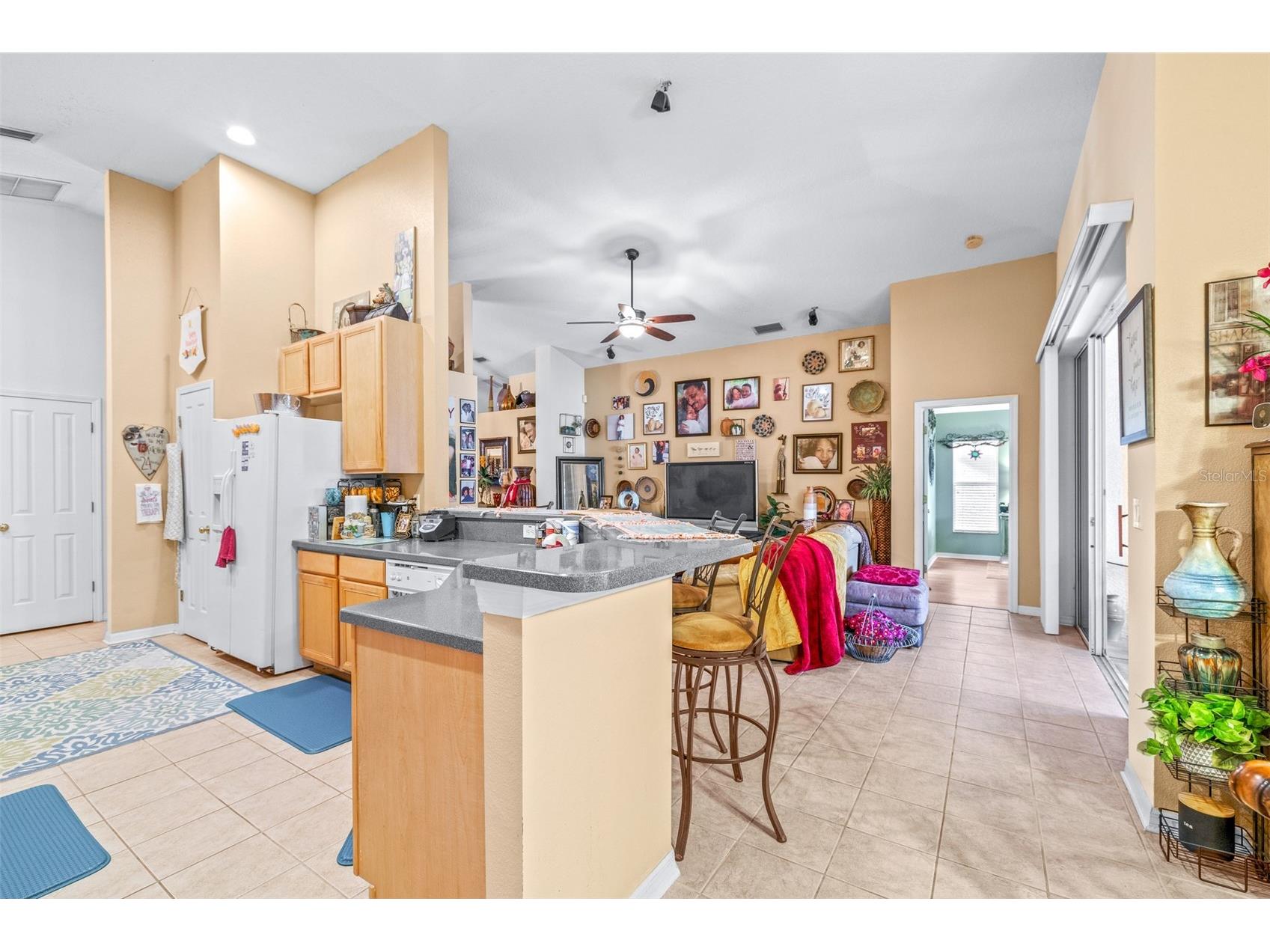 7113 Cromwell Park Lane Apollo Beach FL 33572 TB8493509 image9