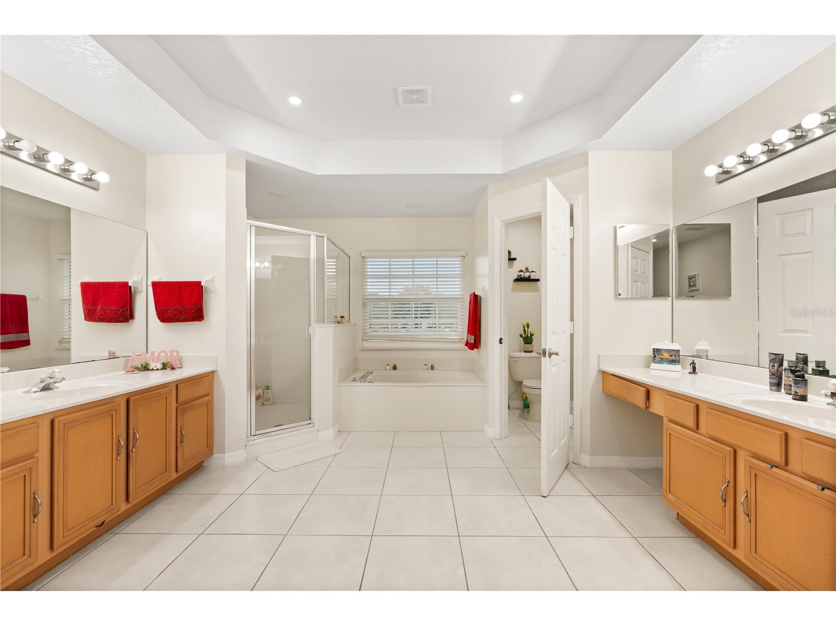 2408 Cimarron Ash Way Apopka FL 32703 O6398519 image21