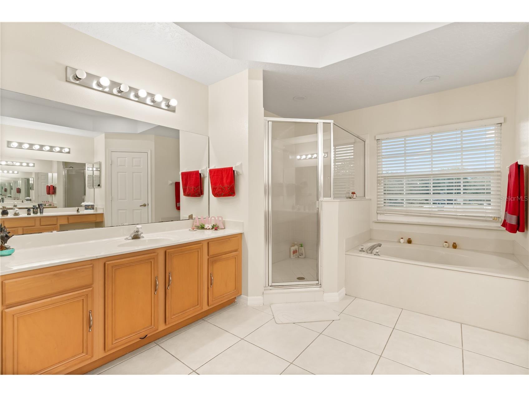2408 Cimarron Ash Way Apopka FL 32703 O6398519 image22