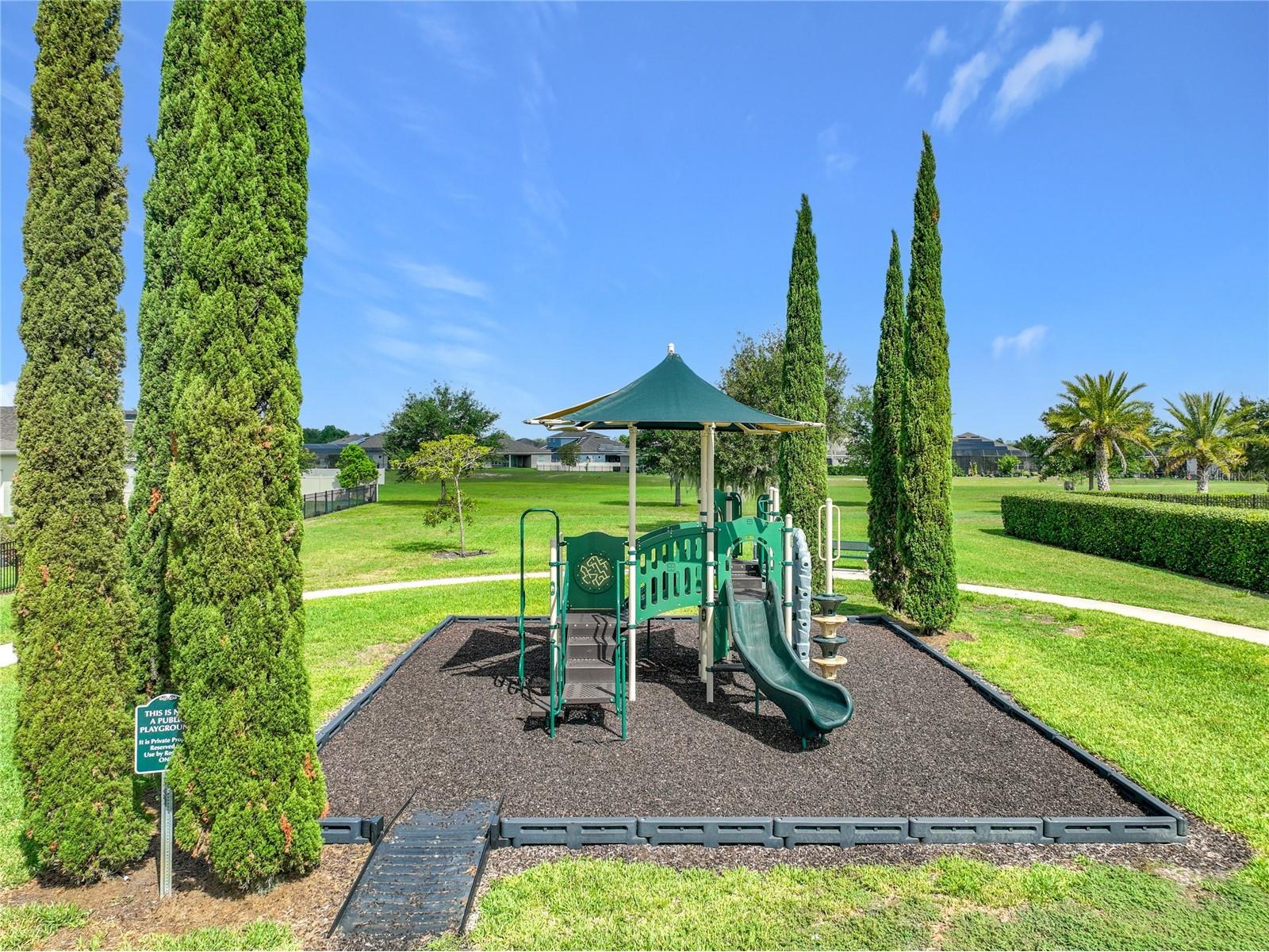 1315 Dusty Pine Drive Apopka FL 32703 O6409991 image39