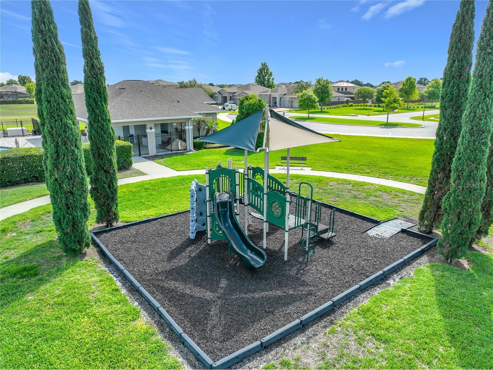 1315 Dusty Pine Drive Apopka FL 32703 O6409991 image40