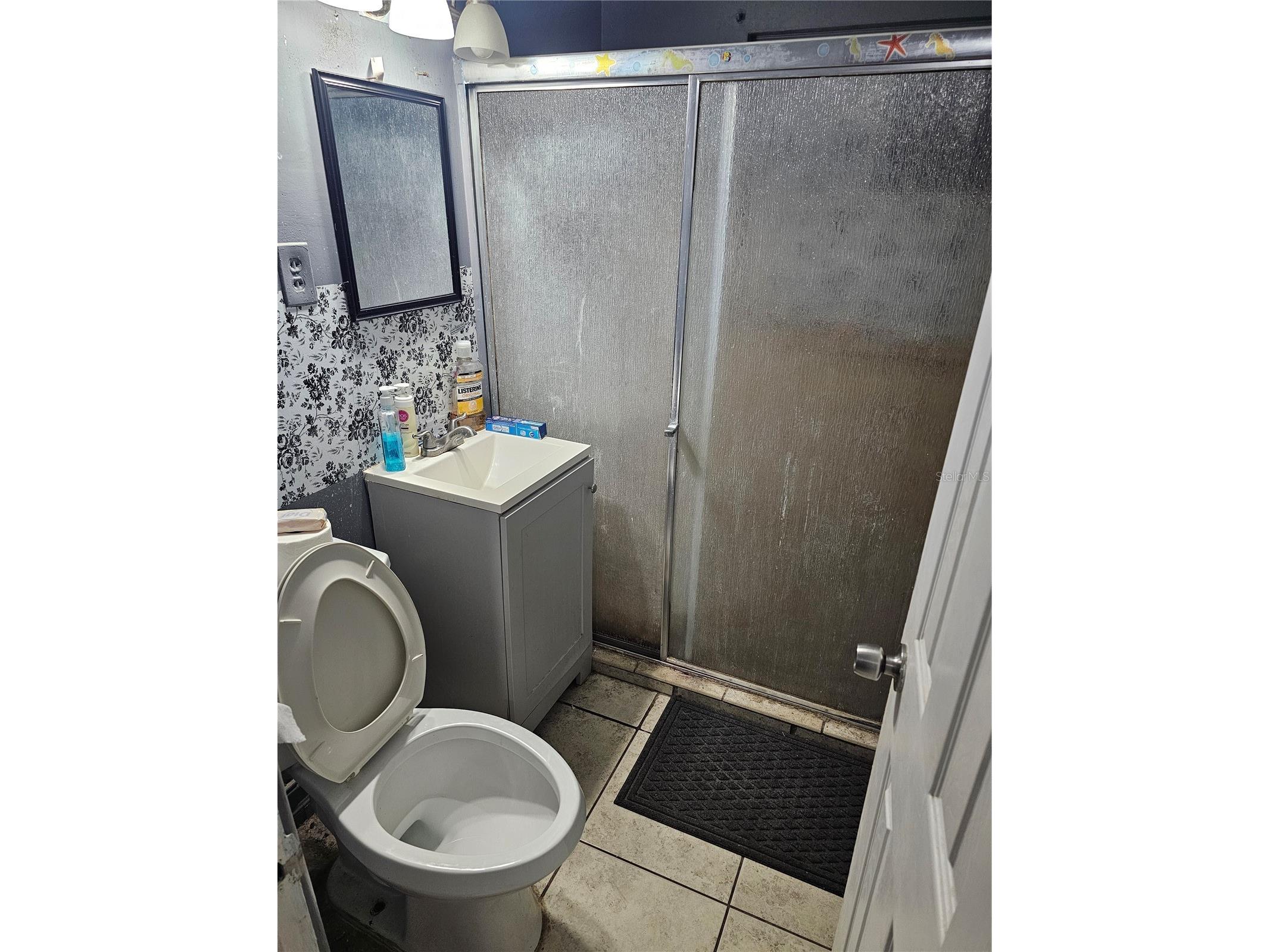 44 W Summit Street Apopka FL 32712 R4911329 image8