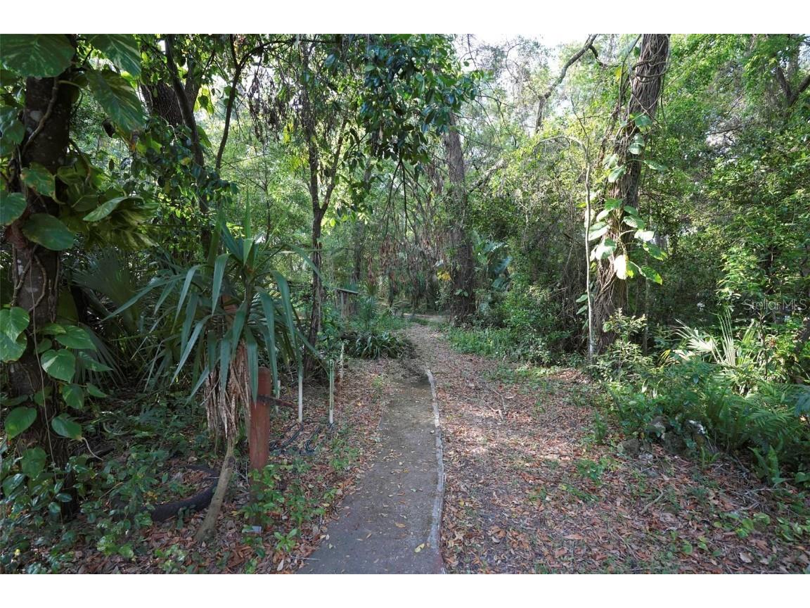  Apopka FL 32712 V4941760 image10