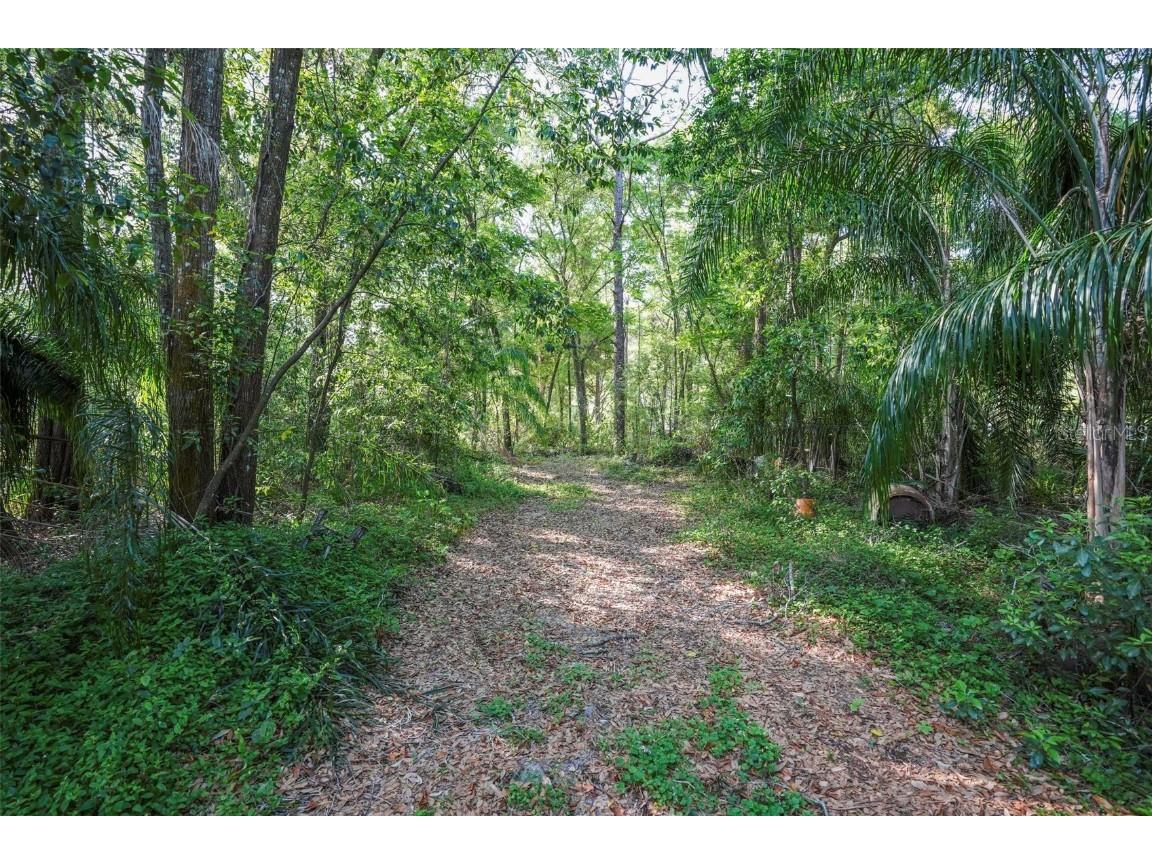  Apopka FL 32712 V4941760 image22