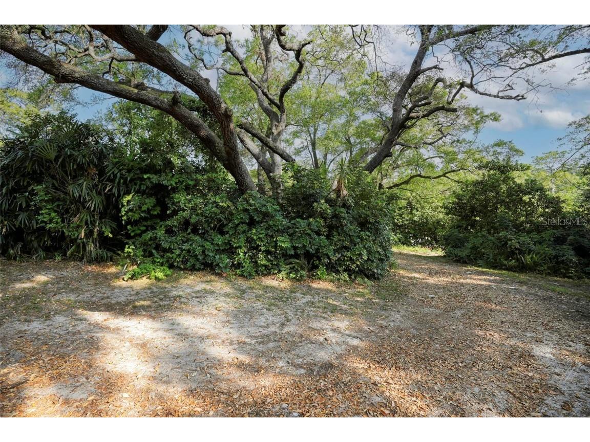  Apopka FL 32712 V4941760 image34