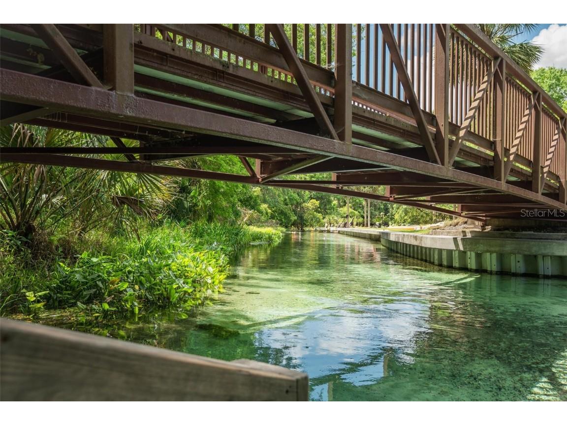  Apopka FL 32712 V4941760 image39