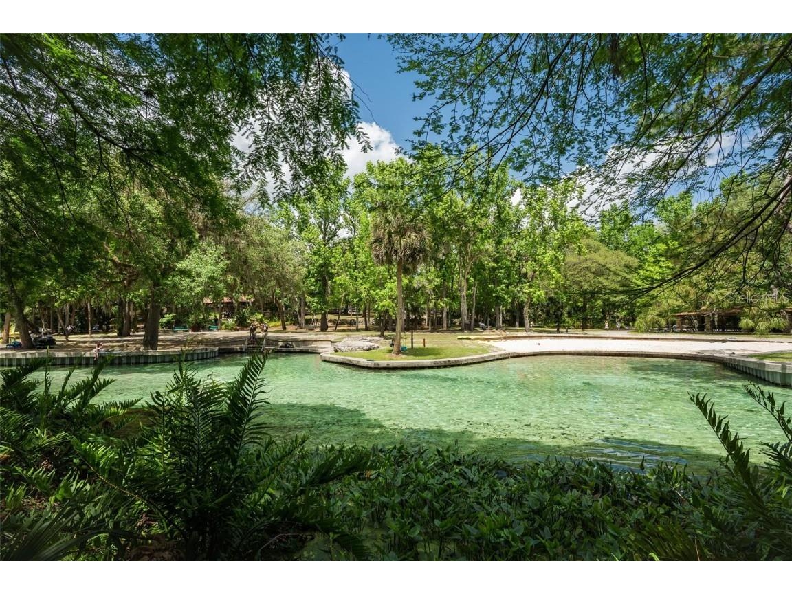  Apopka FL 32712 V4941760 image40