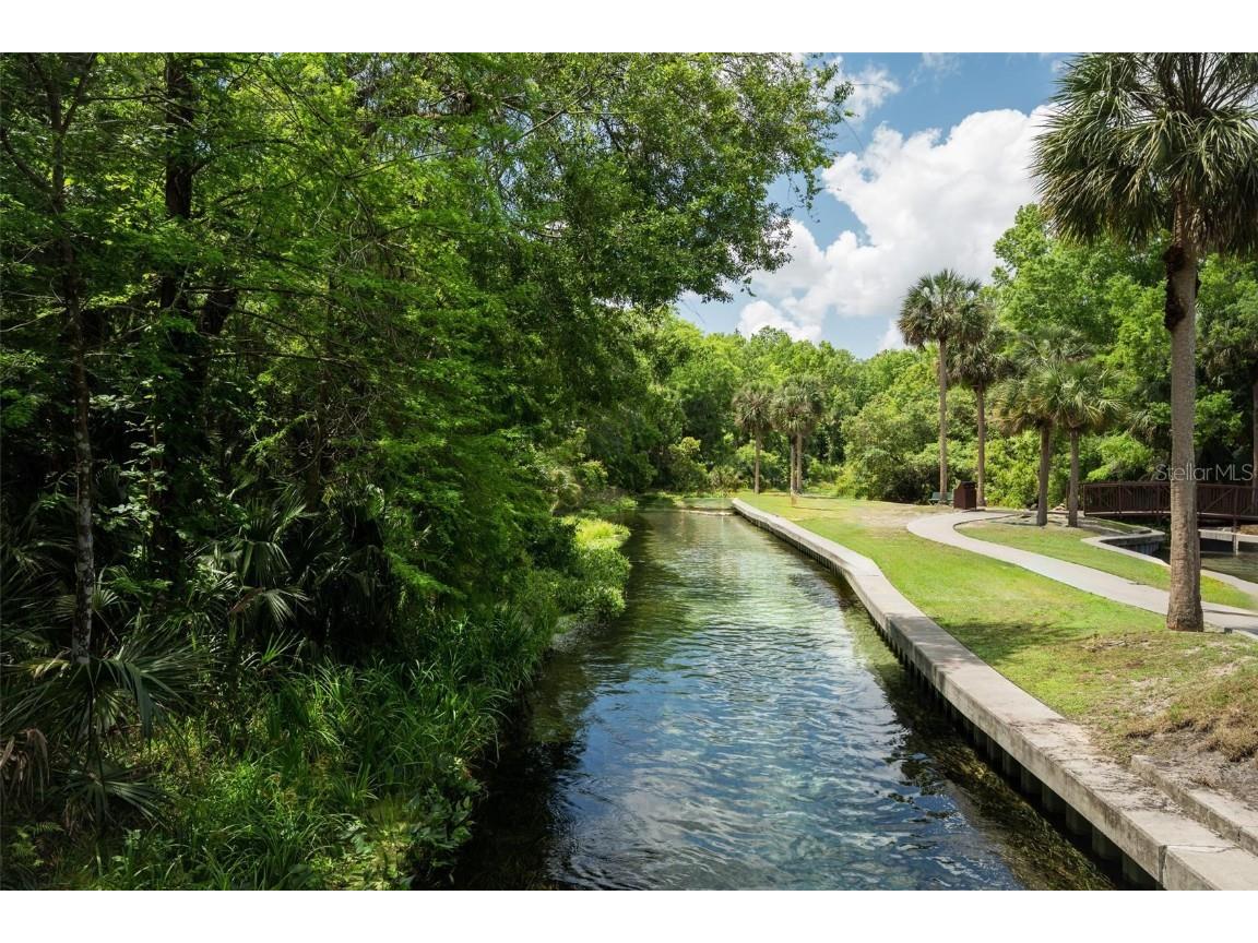  Apopka FL 32712 V4941760 image41