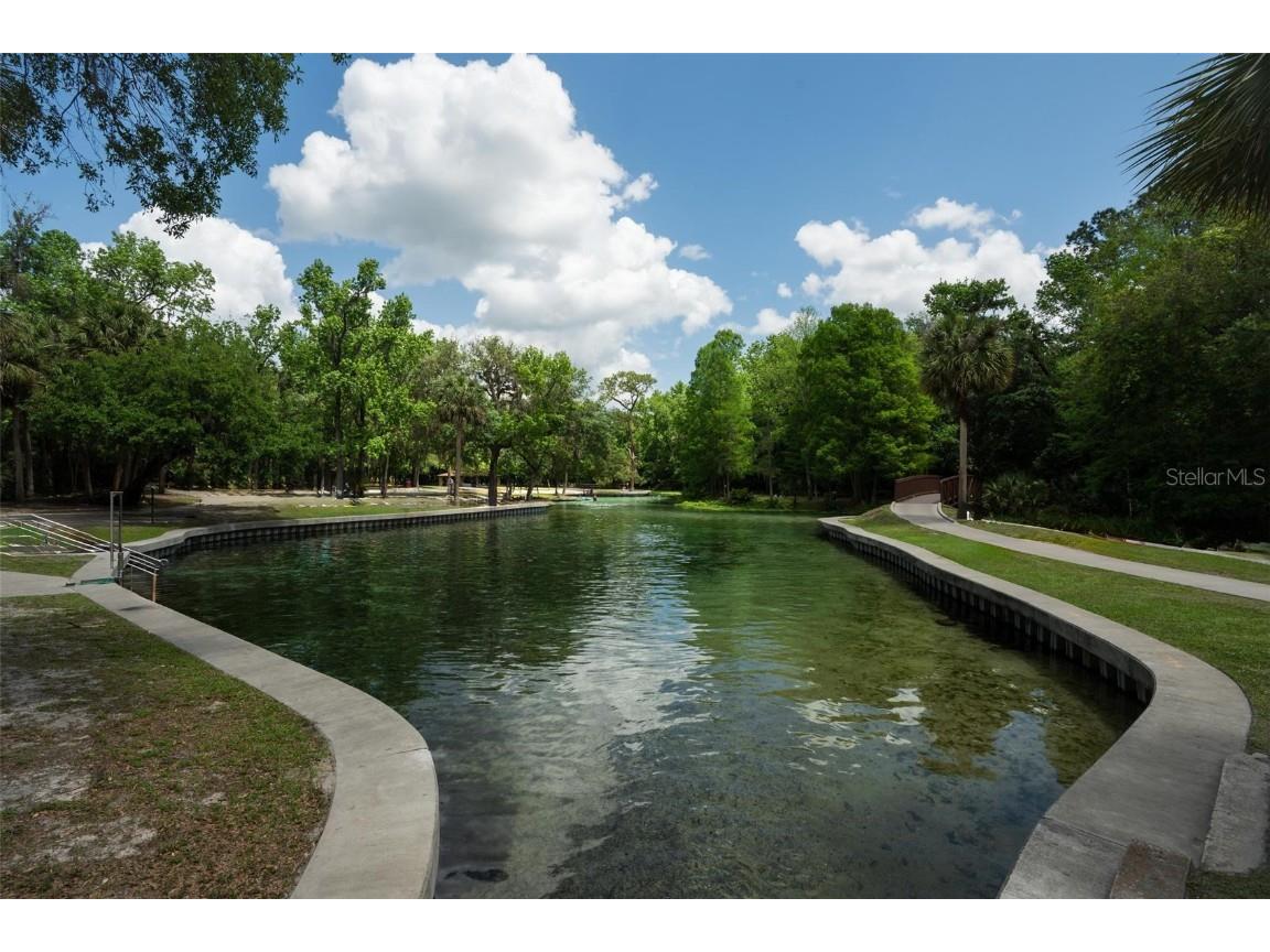  Apopka FL 32712 V4941760 image43